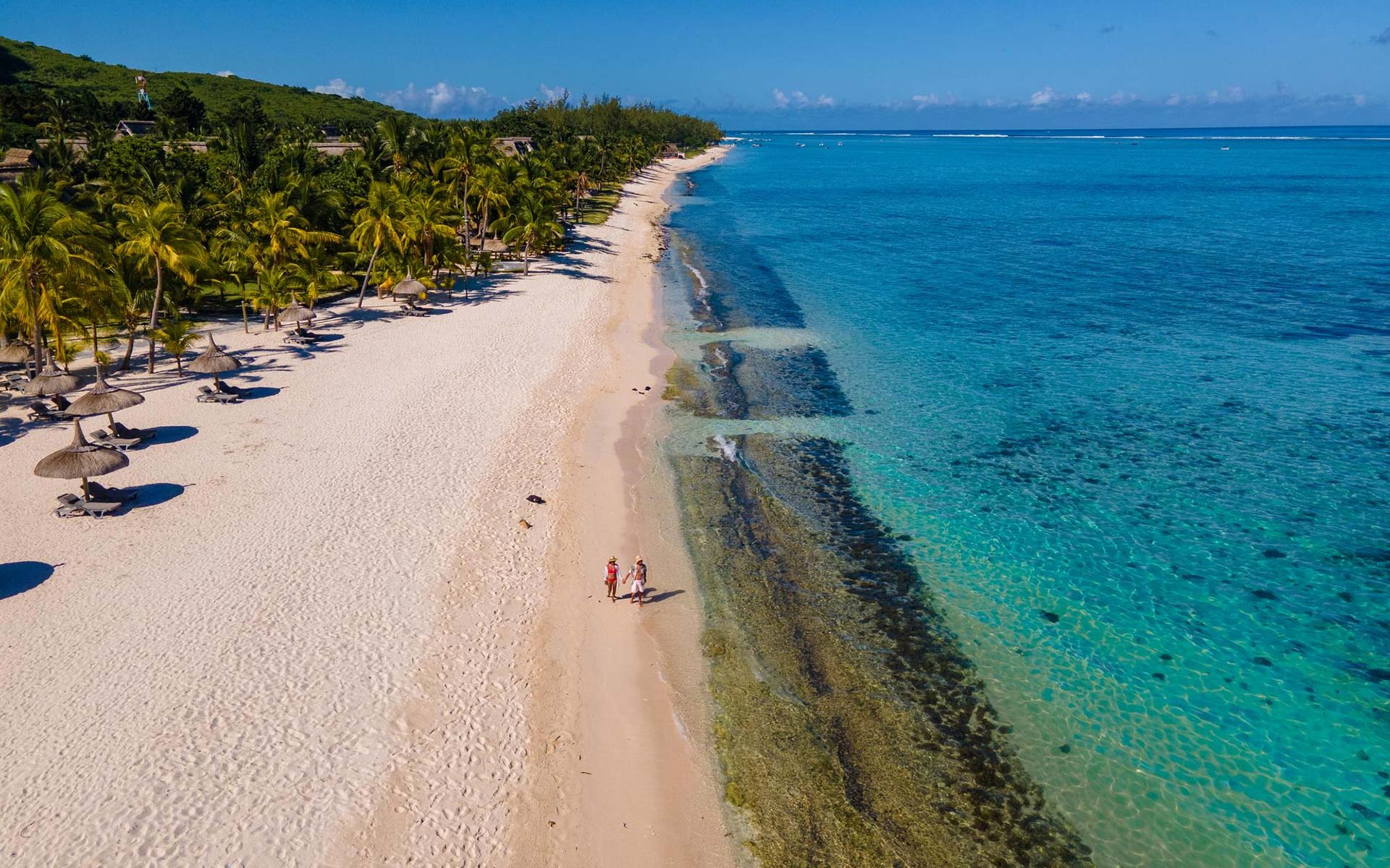 Un caffè con Alda Merini: l’inizio della storia